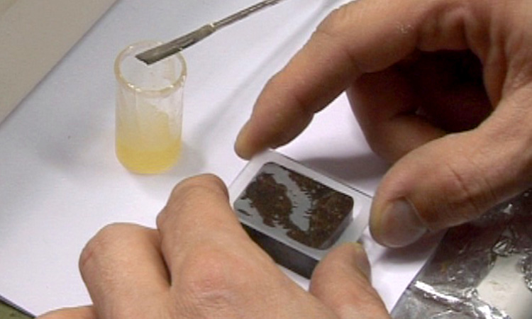 La fabrication d’une lame mince de roche - extrait - gryphea.com